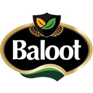 Baloot