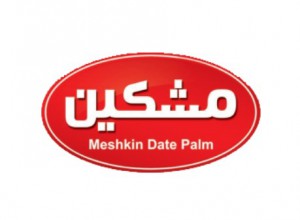 مشکین