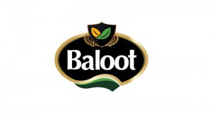بلوط