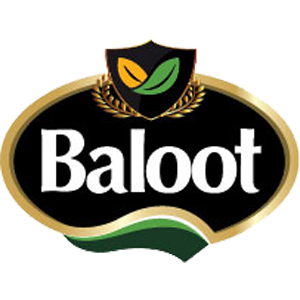 بلوط